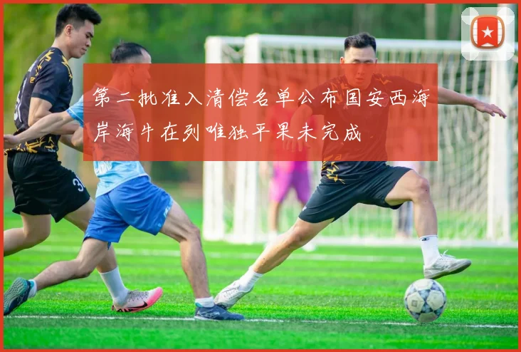 第二批准入清偿名单公布国安西海岸海牛在列唯独平果未完成