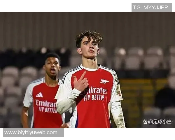 莱斯费迪南德点评阿森纳表现不足比分却显五星级水准