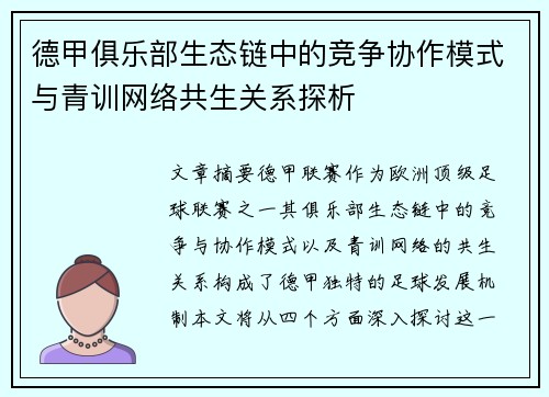 德甲俱乐部生态链中的竞争协作模式与青训网络共生关系探析