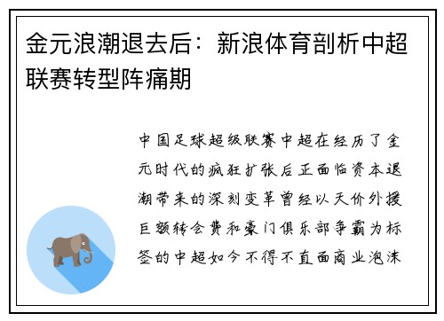 金元浪潮退去后：新浪体育剖析中超联赛转型阵痛期